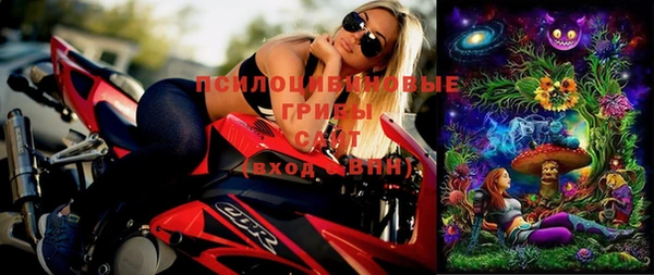 МДПВ Алексеевка