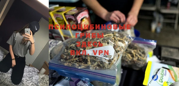 ALPHA PVP Алексин