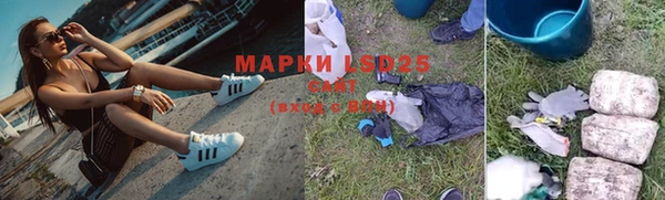 эйфоретик Алзамай