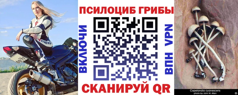 Галлюциногенные грибы прущие грибы  купить закладку  Бирюч 
